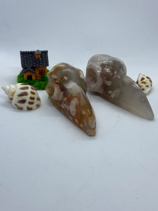 Flower agate Bird skull