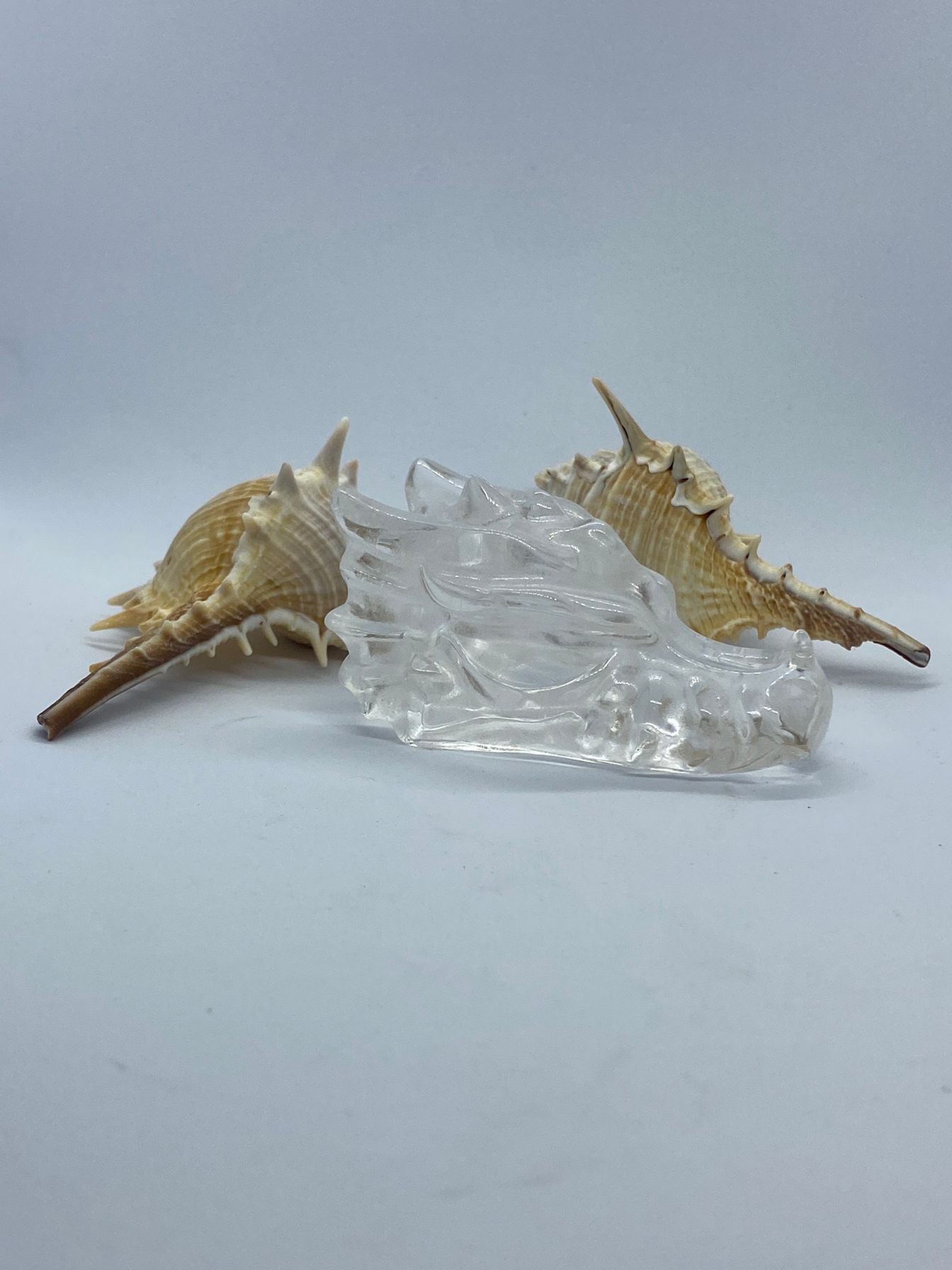 Clear quartz Dragon head