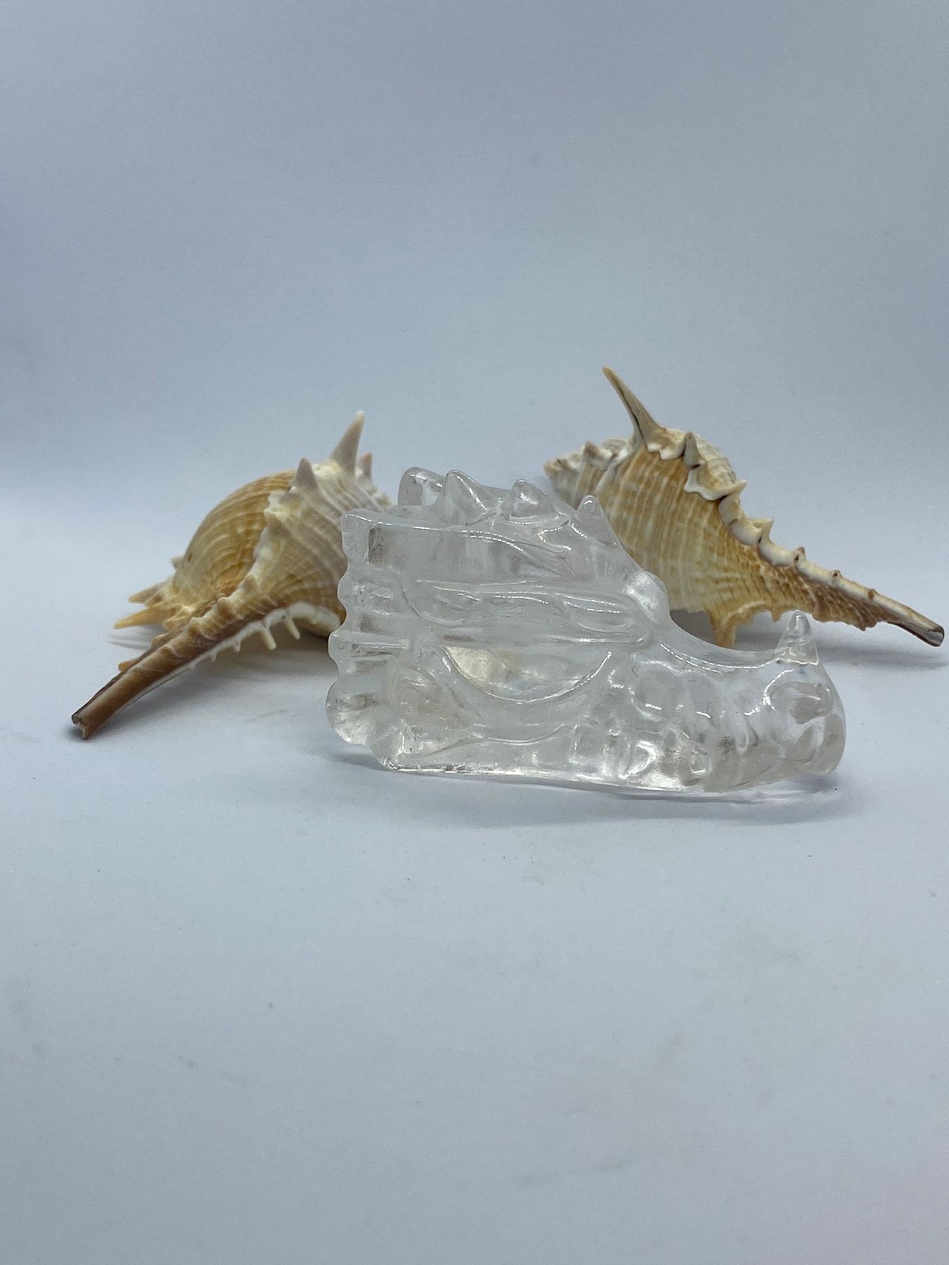 Clear quartz Dragon head