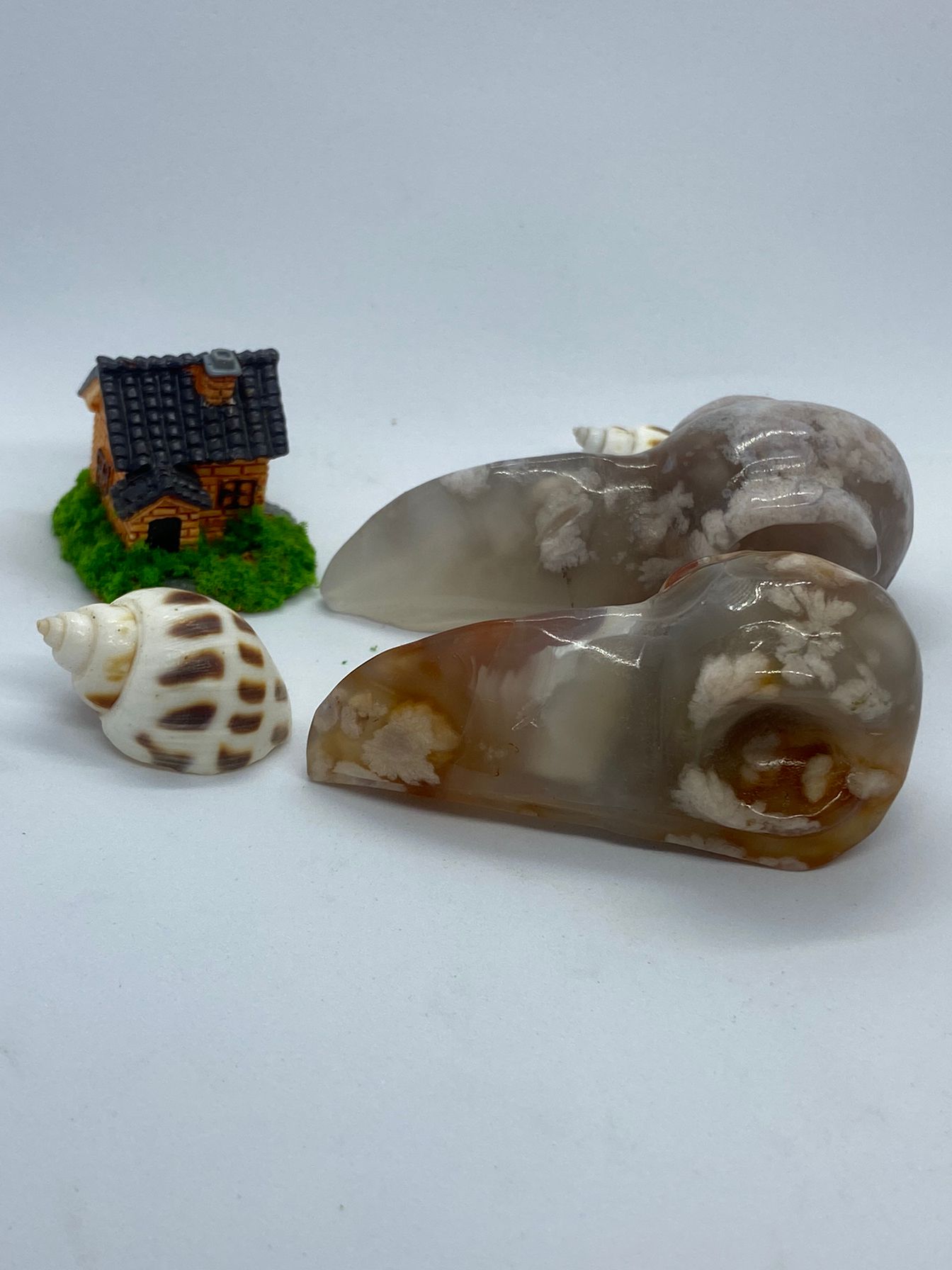 Flower agate Bird skull